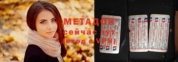 сатива Беломорск