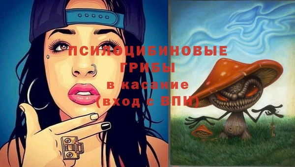 ALPHA PVP Белокуриха