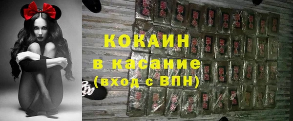 сатива Беломорск