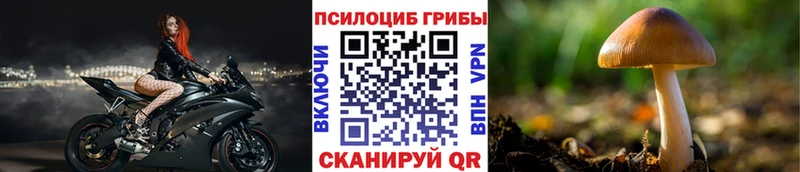 Галлюциногенные грибы Cubensis  закладки  Дегтярск 